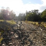 Mount Taylor Mountain Bike MTB Double Track