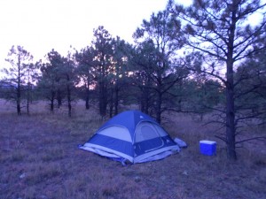 Negrito Camping Campsite Tent Forest Wilderness Aircraft Backcountry