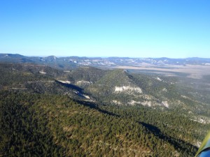 New Mexico Springerville