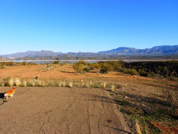 Arizona Camping Grapevine Backcountry Airstrip aircraft