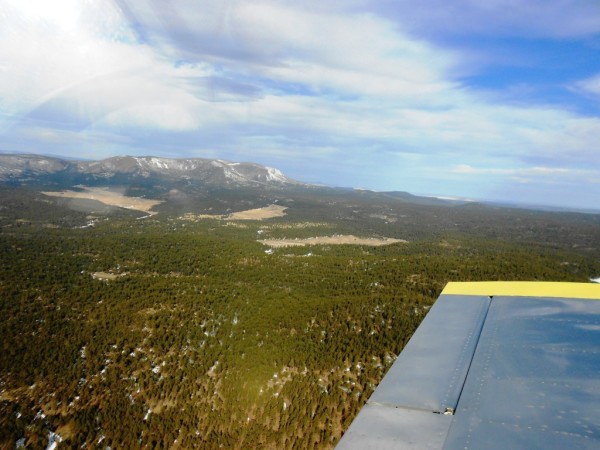 Cactus Fly-In 2013 Mount Baldy