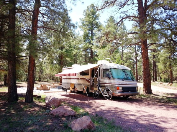 Pace Arrow RV Motorhome Camping Campground Quaking Aspen Gallup New Mexico Pine Tree
