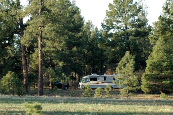 RV Motorhome Boondocking National Forest