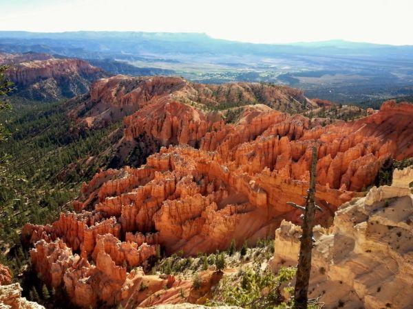 Bryce Canyon National Park Hike Hoodoo