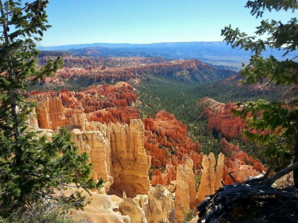 Bryce Canyon National Park Hike Hoodoo