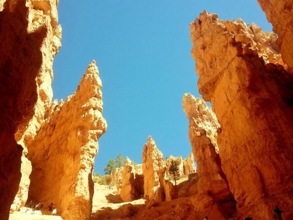 Bryce Canyon National Park Hike Hoodoo