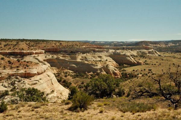 McInnis Canyon BLM Colorado River