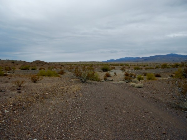 MTB lake havasu az watershed loop trail cycling mountain bike