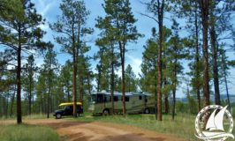 boondocking forest RV camping Montana Newmar Dutch Star