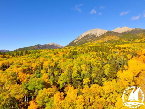 Colorado Trail Aspen Gold Yellow Mount Shavano MTB Mountain Bike