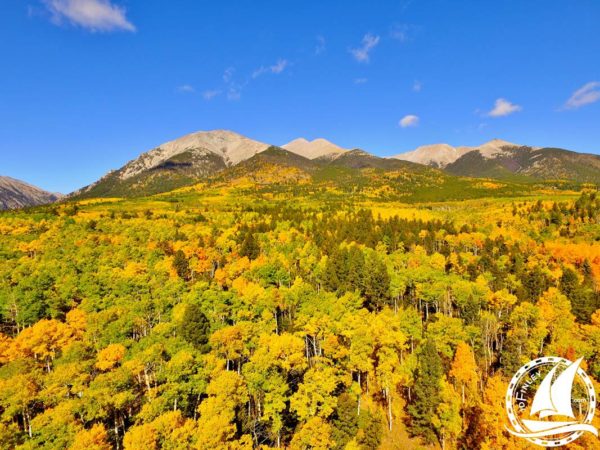 Colorado Trail Aspen Gold Yellow Mount Shavano MTB Mountain Bike