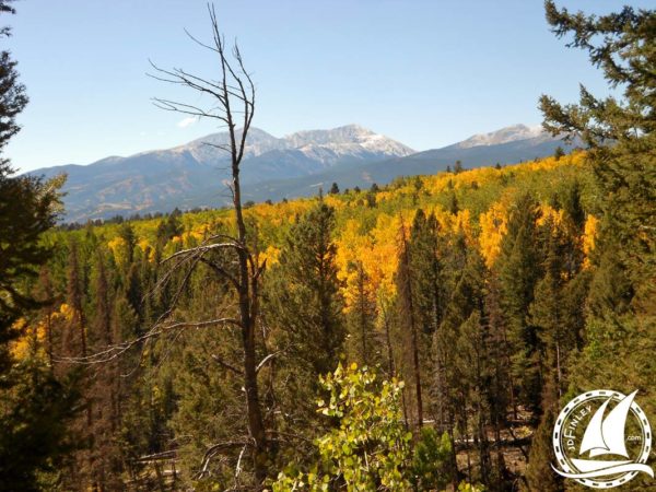 Colorado Trail Aspen Gold Yellow