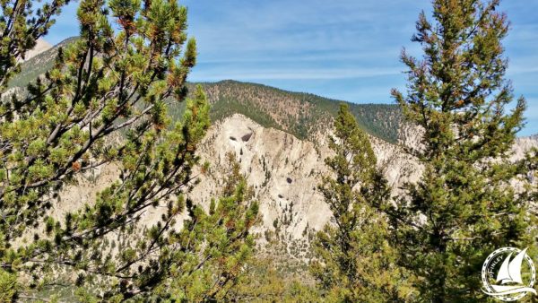 Colorado trail mountain bike hike hiking walk