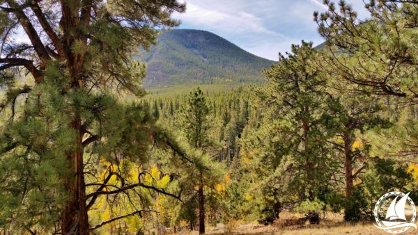 Colorado trail mountain bike hike hiking walk