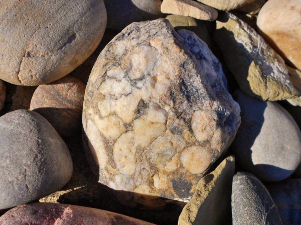 Rocks Pressure Navajo Lake New Mexico Geologist