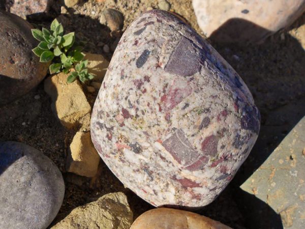 Rocks Pressure Navajo Lake New Mexico Geologist