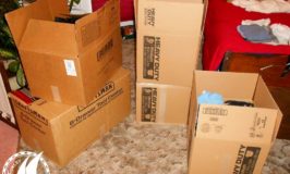 life box move belongings shipping plan