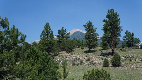 Boondocking camping Gunnison National Forest Colorado Mountains Missy MCI bus conversion