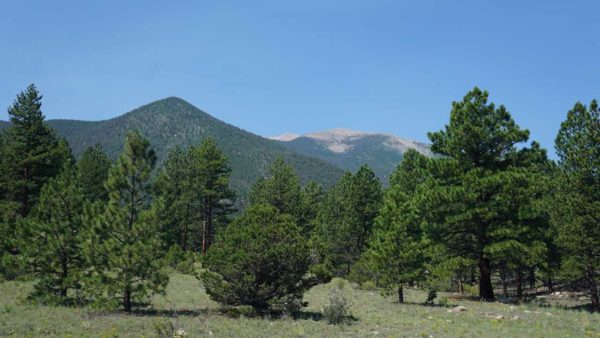 Boondocking camping Gunnison National Forest Colorado Mountains Missy MCI bus conversion