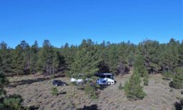 Missy bus boys Mt. Taylor New Mexico Grants boondocking forest