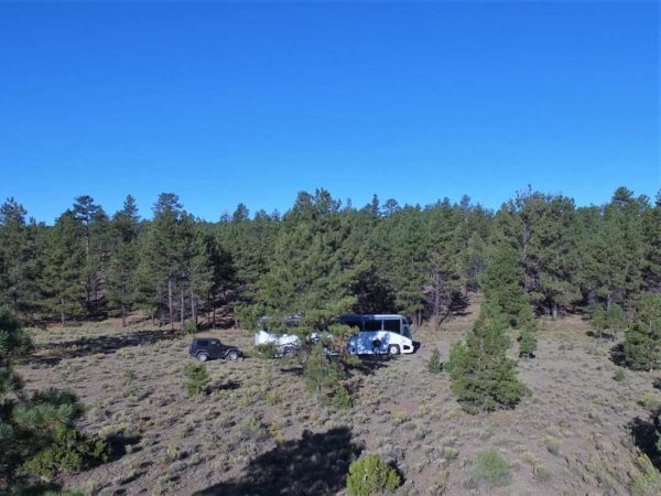 Missy bus boys Mt. Taylor New Mexico Grants boondocking forest