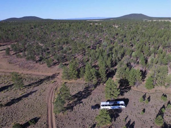 Missy bus boys Mt. Taylor New Mexico Grants boondocking forest