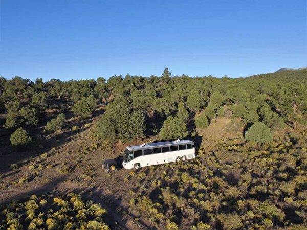 Missy bus boys Mt. Taylor New Mexico Grants boondocking forest