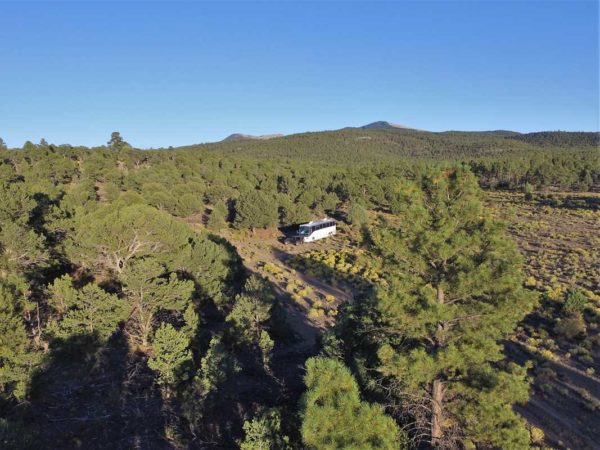 Missy bus boys Mt. Taylor New Mexico Grants boondocking forest