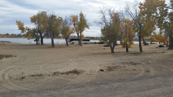 MCI 102 bus missy stuck sand tow truck