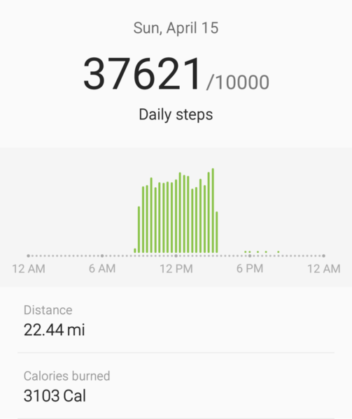 step record steps