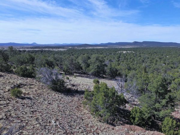 New Mexico Thunder Road Cerro Brujos 80 Acres Property