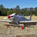 Vans RV-4 Lycoming Negrito New Mexico back country bird strike