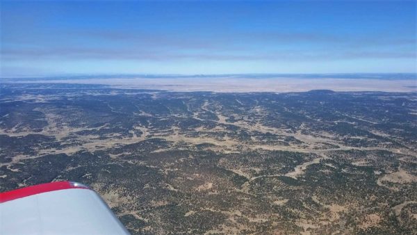 New Mexico Reserve Forest Fires